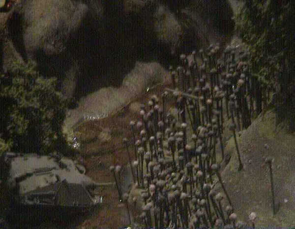 Chap345.jpg, 25.06.2004, 35 kB