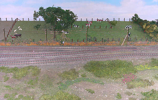 33.jpg, 46 kB