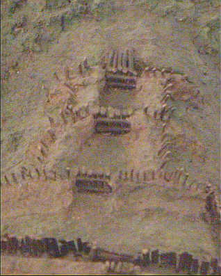 SB0900_4.jpg, 23 kB
