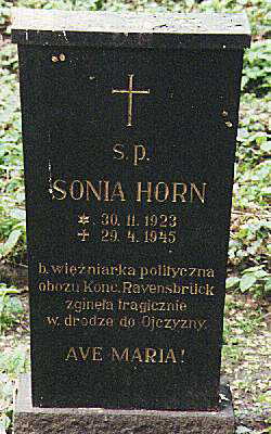 Horn.jpg, 26606 bytes, 11.10.00