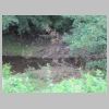 2021_08_06_Eschweiler_182538.JPG
