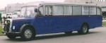 FBW_Bus_31.jpg