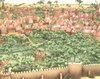 1366_05.jpg
