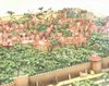1366_06.jpg