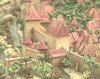 1366_28.jpg