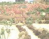 1366_33.jpg