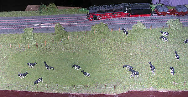 006.jpg, 44 kB